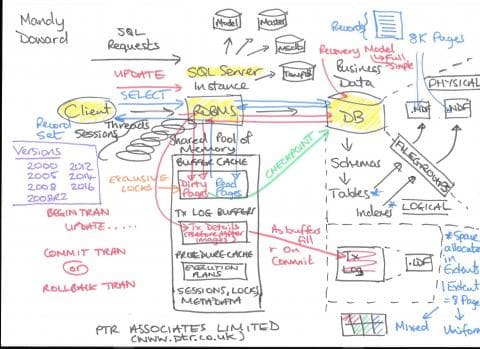 Why Is Our SQL Server Application Running So Slowly?