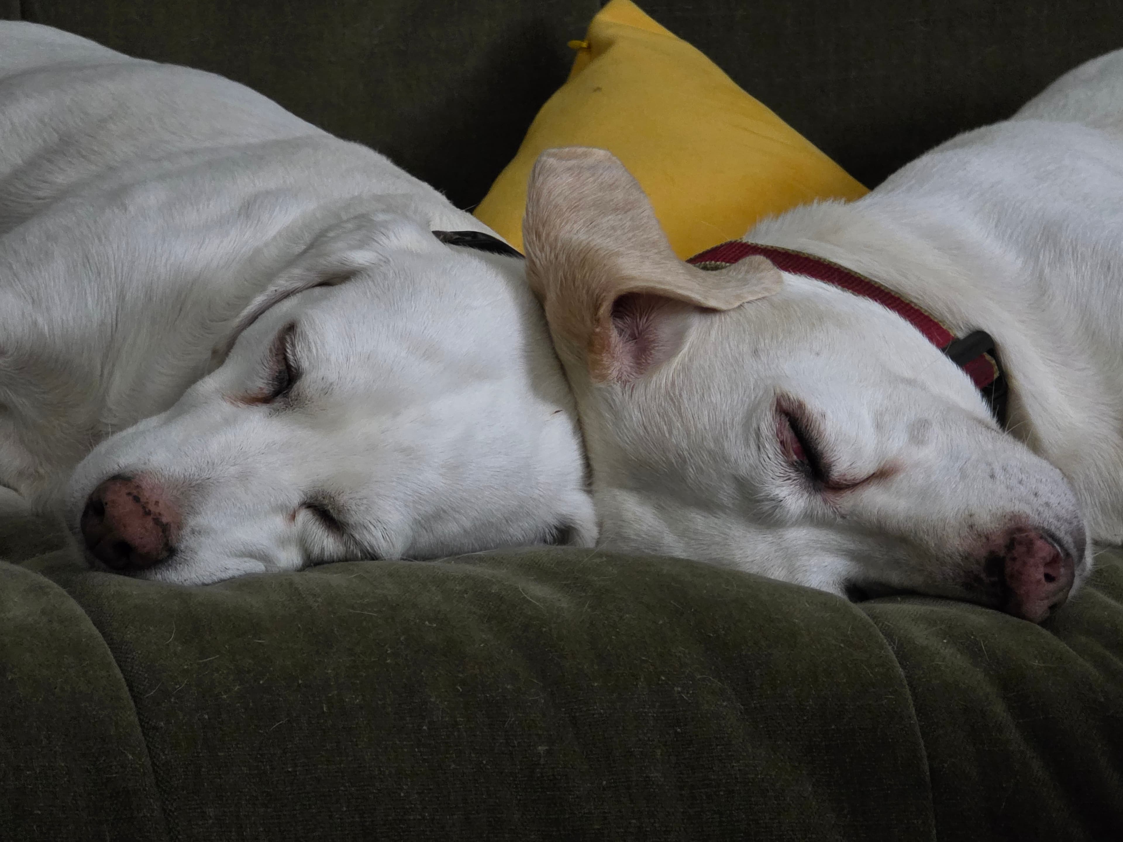 Making Life Easier with Chat GPT, Copilot and Gemini